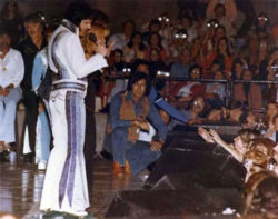 Elvis at a Florida concert, 1976