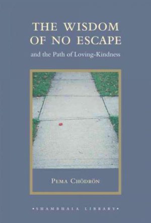 Wisdom of No Escape