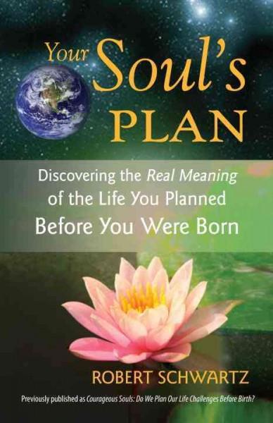 Your Soul's Plan : Discovering the Real Meaning of the Life You Planned Before You Were Born