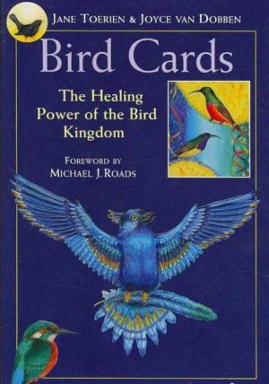 Bird Cards