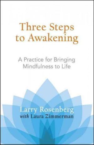 Three Steps to Awakening : A Practice for Bringing Mindfulness to Life