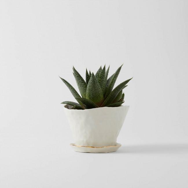 Handpinched Porcelain Planter + Plate Set