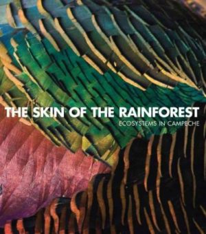 Skin of the Rainforest / La Pielde la selva