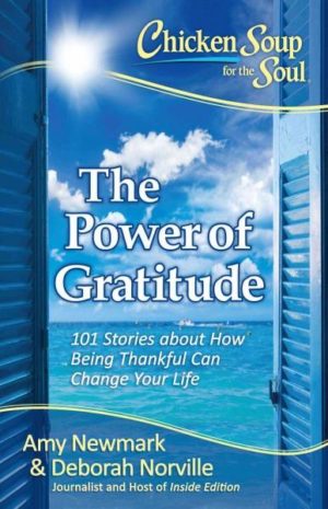 Chicken Soup for the Soul The Power of Gratitude
