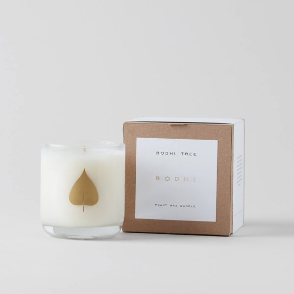 1 white Bodhi Tree Signature Scented Candle in glass container with package