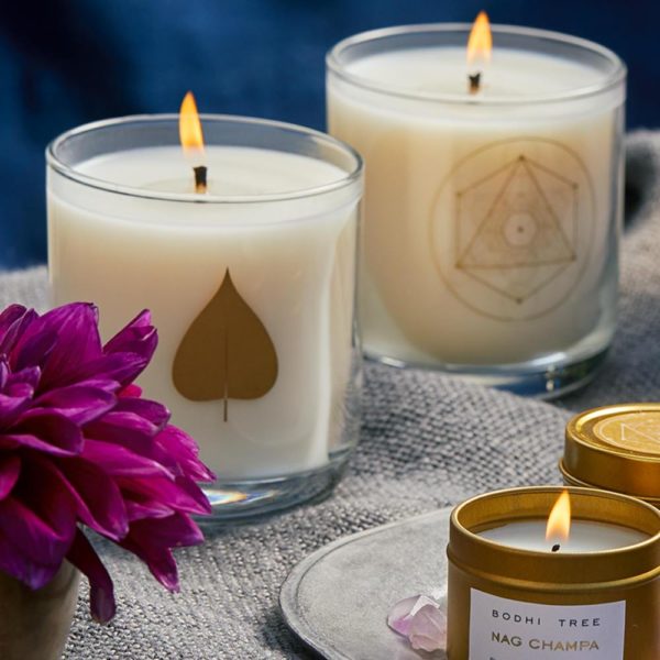 2 lite Bodhi Tree Signature Scented Candles and one lit travel candle