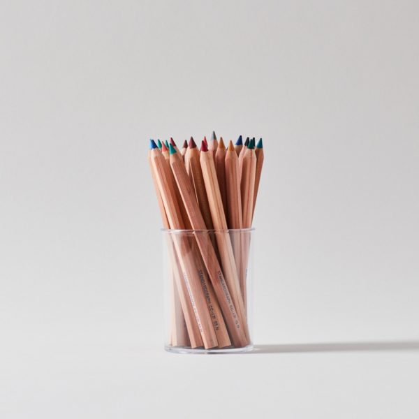 Set of 24 Thick Cedar Colored Pencils