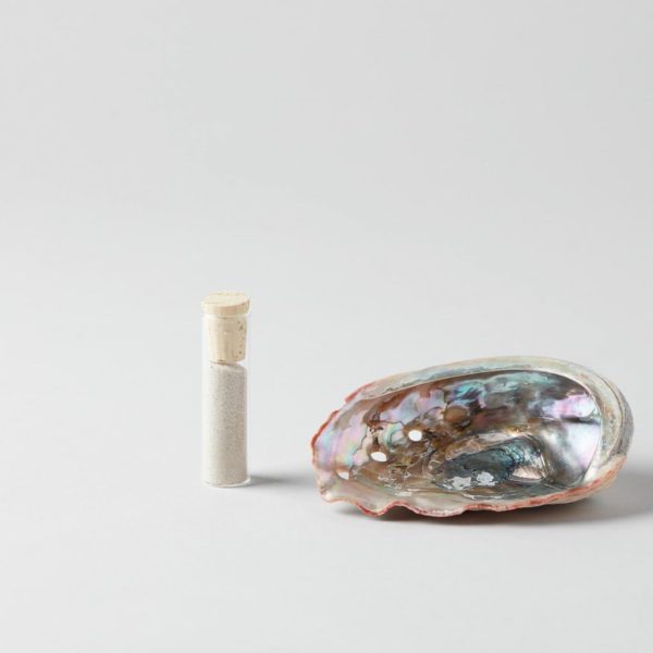 abalone shell with a vile of sand with a cork stopper