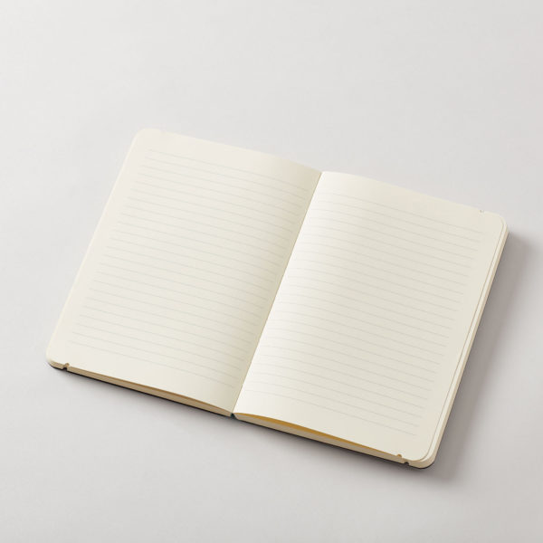 an opened journal with blank pages